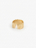 Anillo CORAN