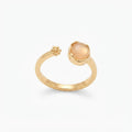 ANILLO LEO