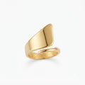 Anillo ACUARIO